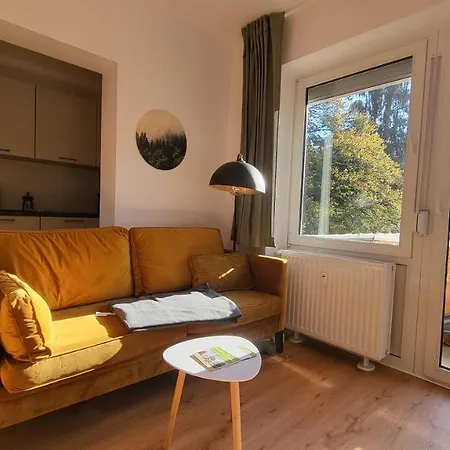 Ferienwohnung Berglodge 11 Hahnenklee Bockswiese Goslar Zewnętrze zdjęcie