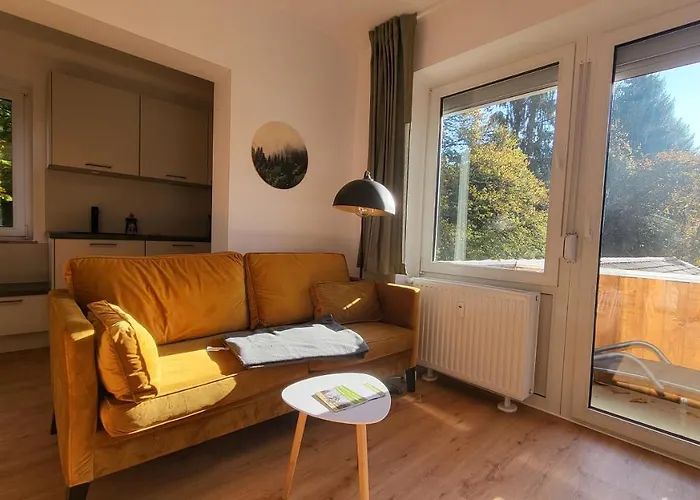 Ferienwohnung Berglodge 11 Hahnenklee Bockswiese